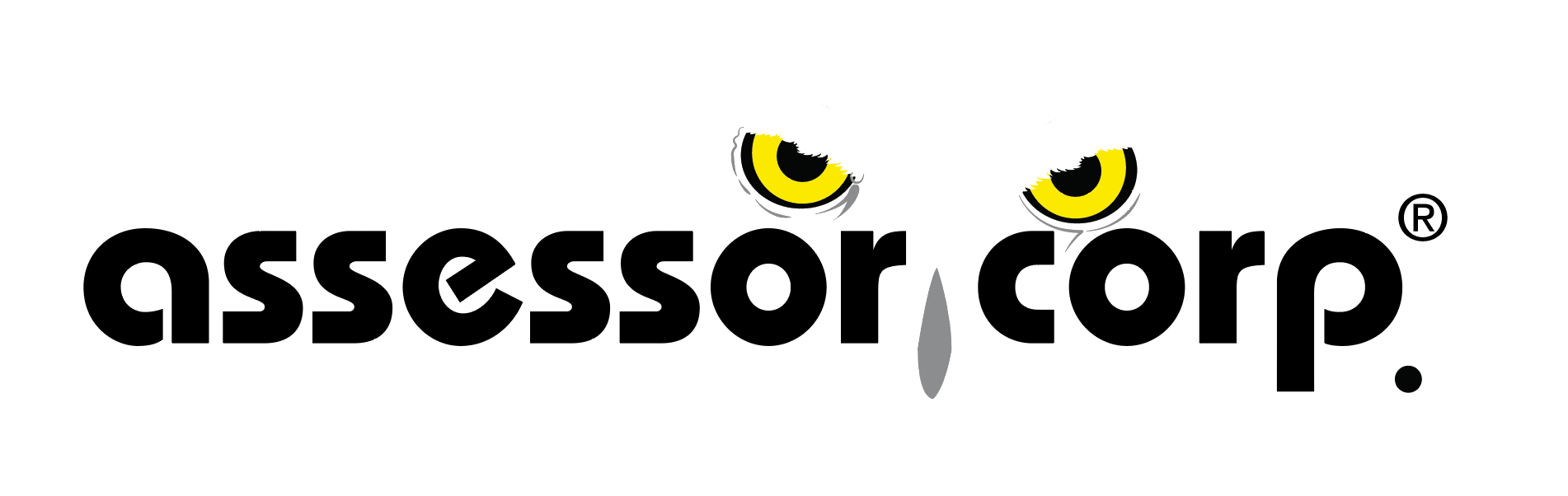Logo de Assessor Corp